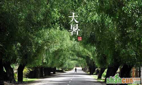 大暑节气各地不同的风俗 山村