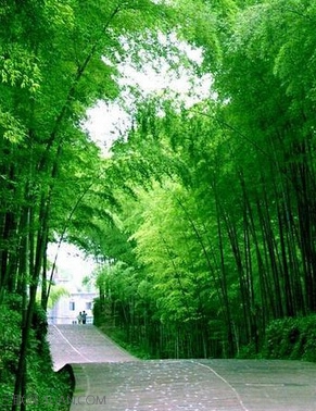 世界步行日是几月几日     山村