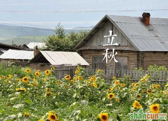 立秋是哪一天? 山村