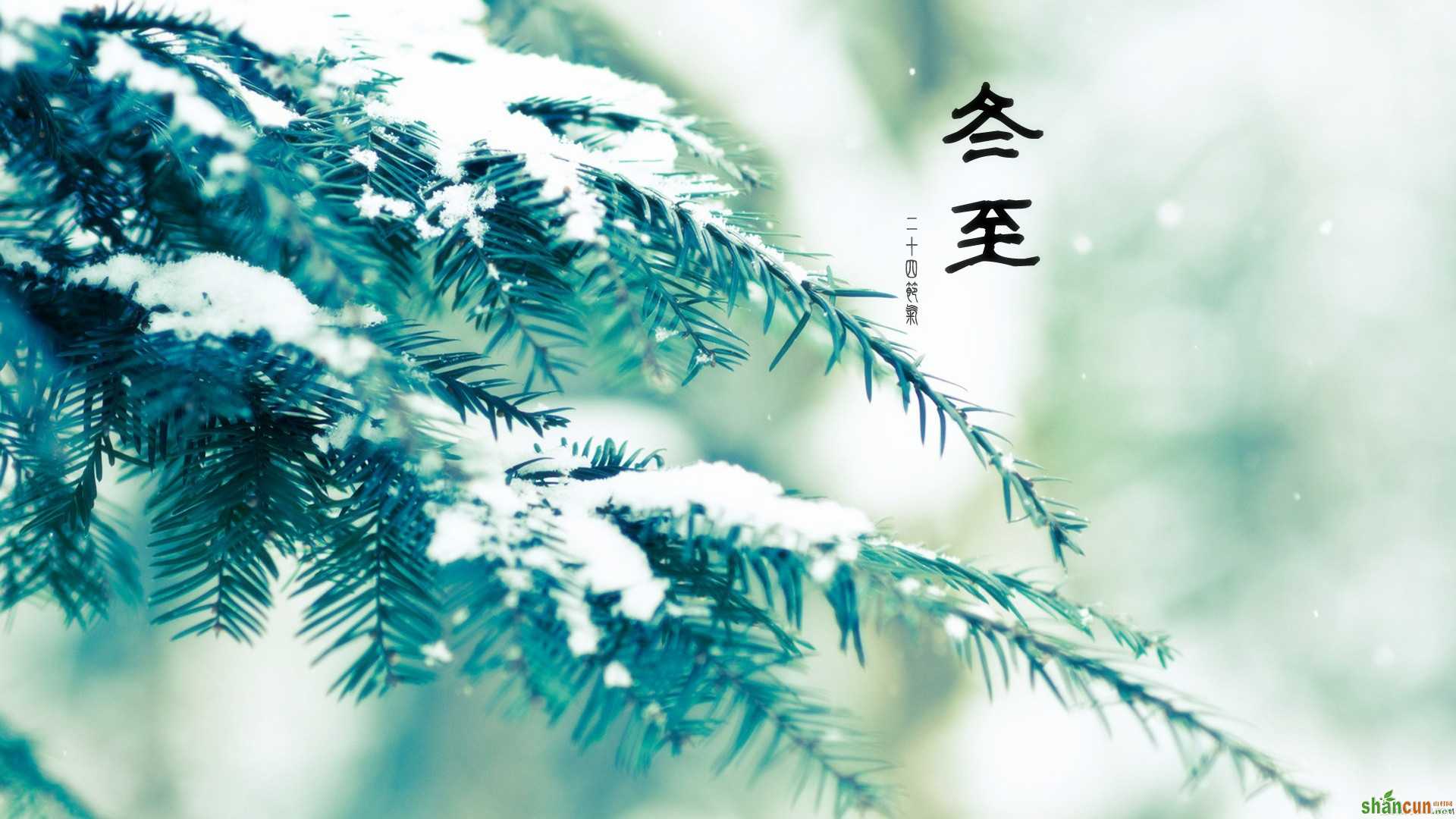 2015年12月22日是什么节日 山村