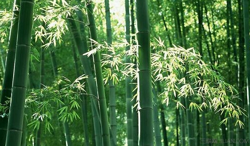 2015年9月18日是什么节日       山村