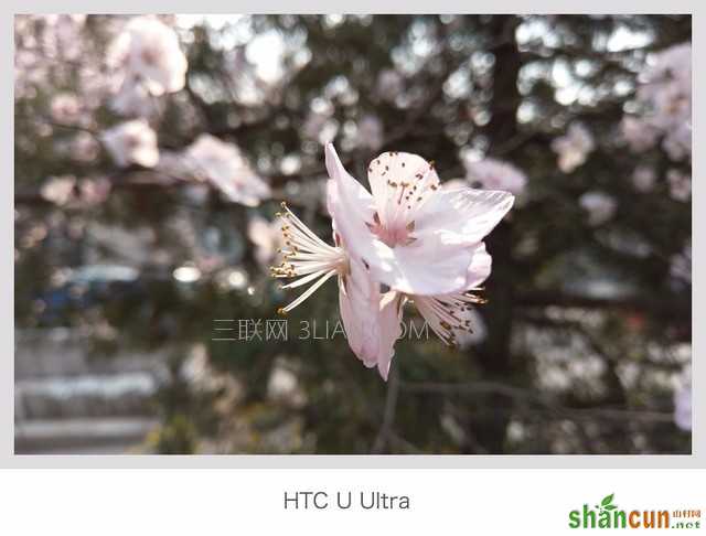 本文属于原创文章，如若转载，请注明来源：华为P10 Plus/HTC U Ultra拍照对比http://mobile.zol.com.cn/631/6317647.html