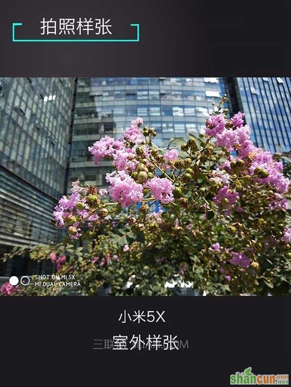 小米5X室外近景拍照样张