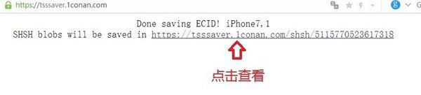 干货教程：教你如何备份苹果iPhone SHSH2文件