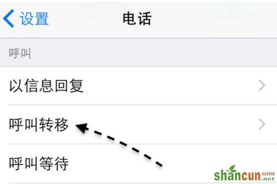 苹果iPhone呼叫转移怎么设置？ 山村