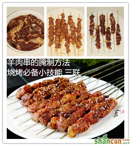 羊肉串的腌制方法，烧烤必备小技能 山村.png