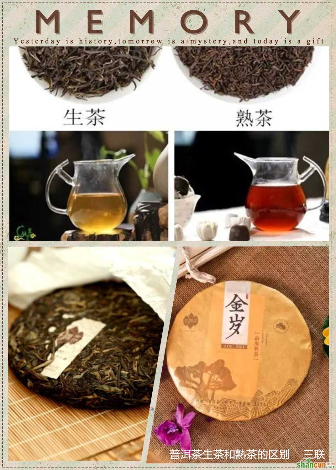 普洱茶生茶和熟茶的区别 山村