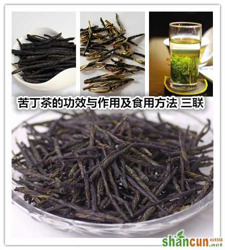 苦丁茶的功效与作用及食用方法 山村.jpg