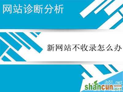 怎么做才能解决网站不被搜索引擎收录?   山村