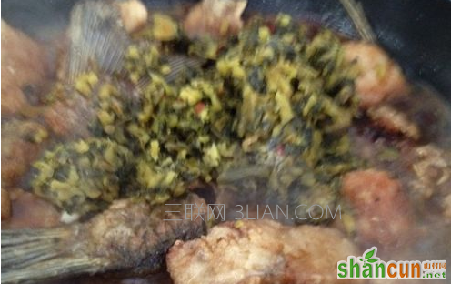 钓草鱼用什么饵料最好，这几种天然饵料不可错过    山村