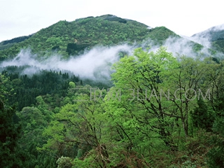 新手如何安全上网 山村