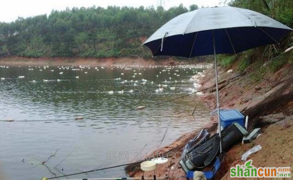 下雨天钓鱼的技巧分享，一定会让你满载而归    山村