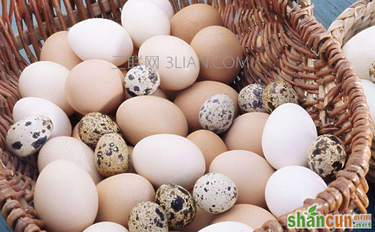 各种蛋类的营养价值对比及家常做法推荐 山村