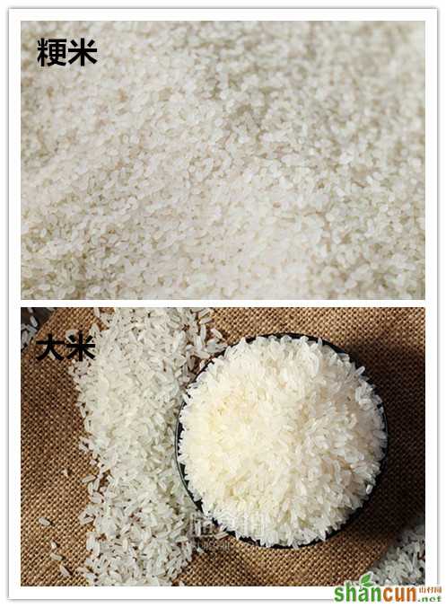 粳米和大米有什么区别，哪个营养价值更高    山村