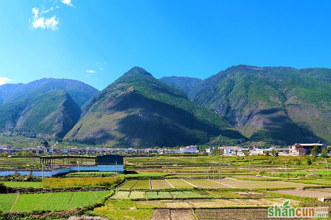 史上最全的云南旅游攻略及注意事项，送给自由行的你 山村