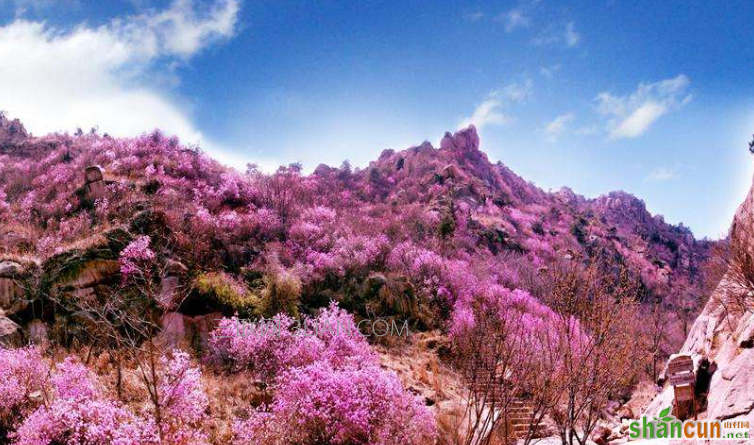 2018年青岛春节天气好不好，2月份去青岛穿什么   山村