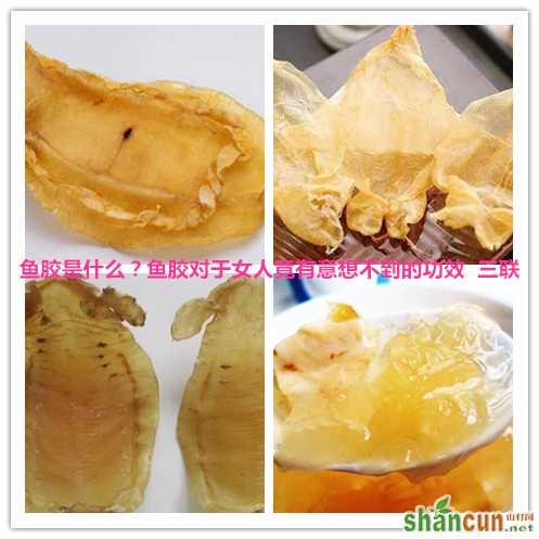 鱼胶是什么？鱼胶对于女人竟有意想不到的功效   山村