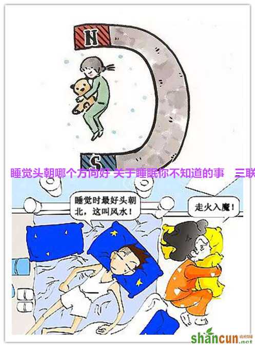 睡觉头朝哪个方向好 关于睡眠你不知道的事    山村