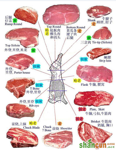 牛肉各个部位吃法