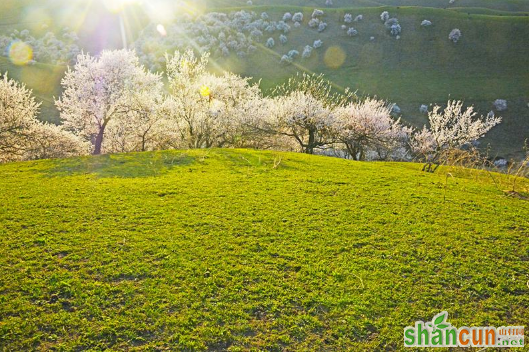 描写春天的诗句集锦，带你感受春天的气息 山村 山村