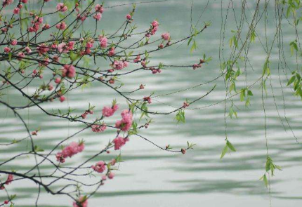 春天吃什么好，春天养生重在补阳气 山村