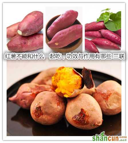 红薯不能和什么一起吃，功效与作用有哪些.jpg