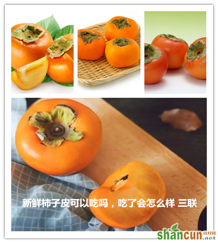 新鲜柿子皮可以吃吗，吃了会怎么样 山村.png