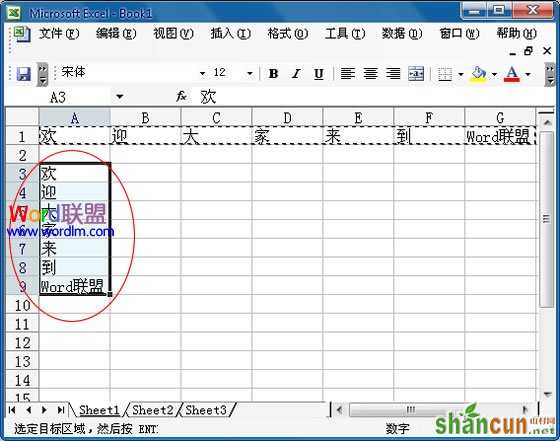 Excel2003中怎么将行中的数据复制到列中