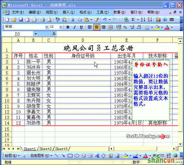 Excel如何输入身份证号码动画教程 山村教程