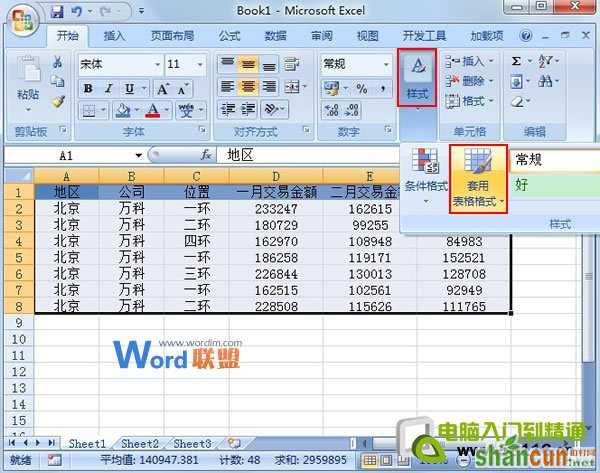 套用Excel2007表格样式进行数据汇总  山村