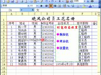 Excel表格设置列宽、行高动画教程