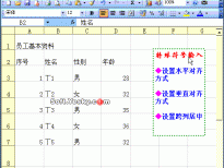 Excel表格数据对齐方式设置动画教程