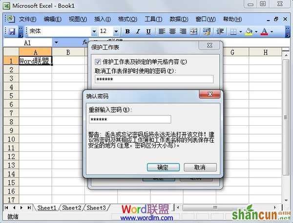 Excel 2003单元格保护设置