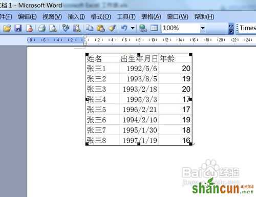 如何将Excel单元格转换成图片形式插入到Word中