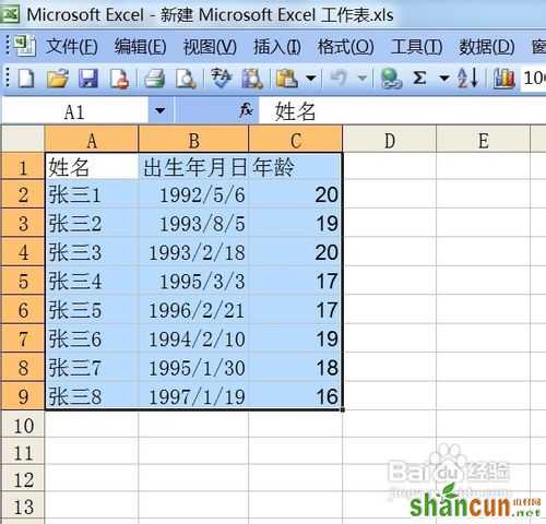 教你用Excel单元格转换成图片形式插入到Word 山村