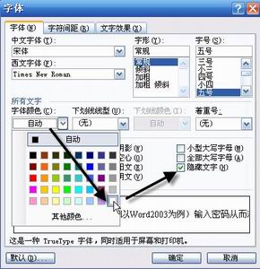 另类妙招助你“加密”Word文档 山村