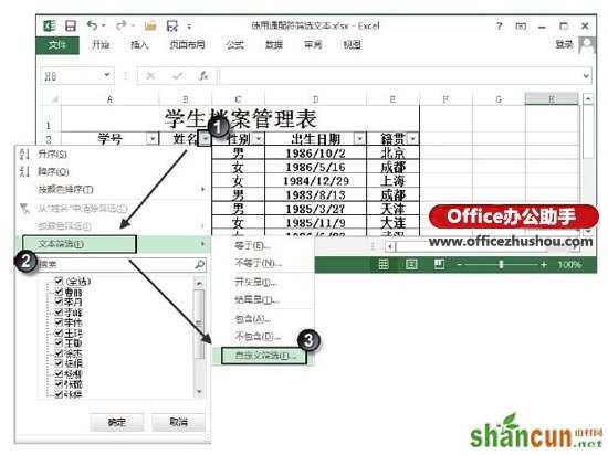 Excel表格中怎么使用通配符筛选文本   山村