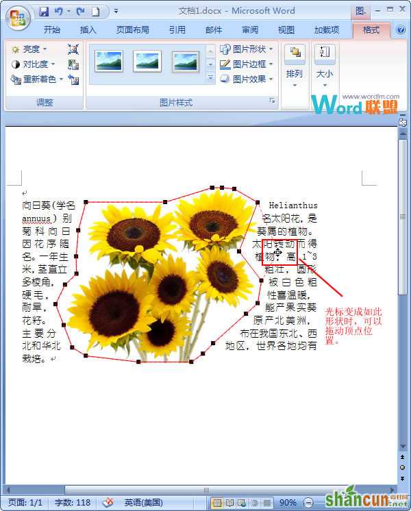 拖动顶点