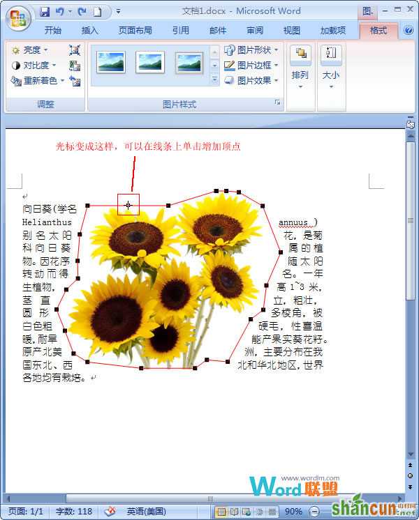 添加顶点