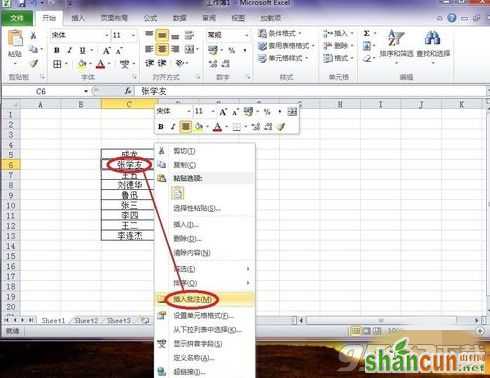 Excel2010批注中怎么插入文字 Excel2010批注中文字插入的方法