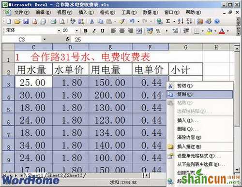 在Word2003中使用“选择性粘贴”功能粘贴Excel数据  山村