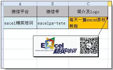 excel表格的基本操作