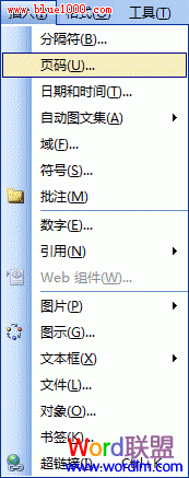 Word2003文档如何添加页码 山村