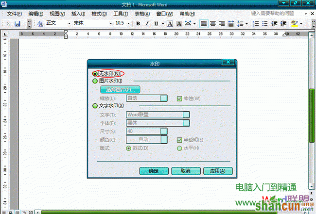 Word2003文档中怎么样去水印