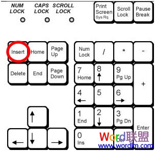 “insert”键所在位置