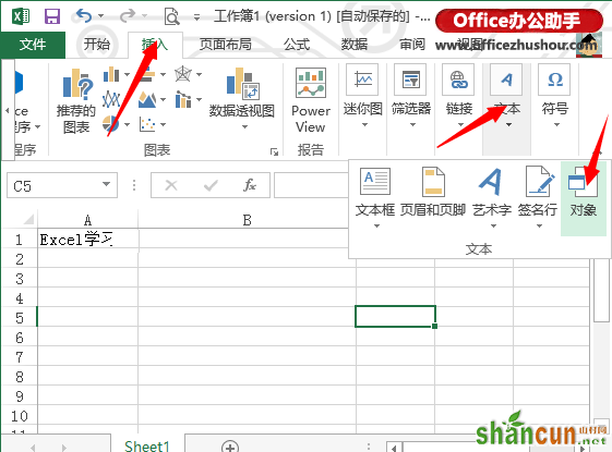 Excel2013如何插入对象文件？  山村