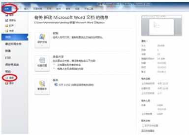 Word2010如何插入复选框2