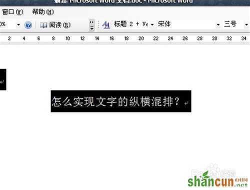 怎么在word2003中实现文字的纵横混排？ 山村