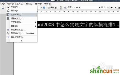 word2003中怎么实现文字的纵横混排？