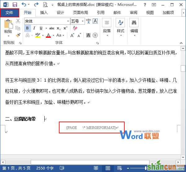 Word2013文档出现乱码怎么办 山村